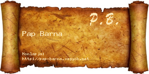Pap Barna névjegykártya